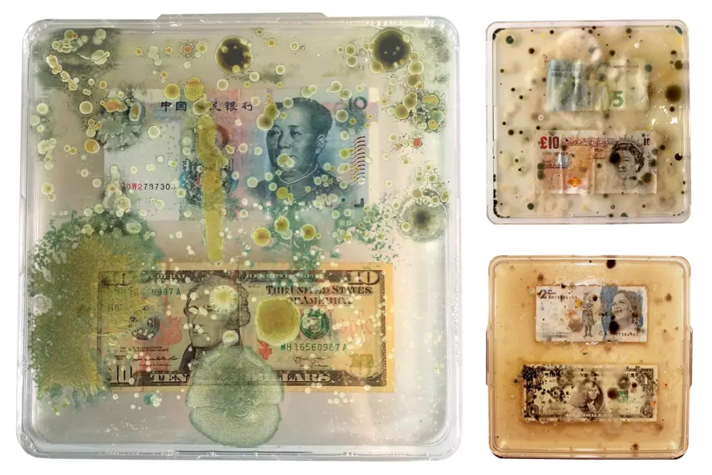 cash covered in bacteria